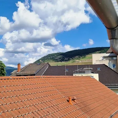 Stadthaus In Zentraler Lage Von Bingen 5 3 Baeder Dachterrasse شقة *