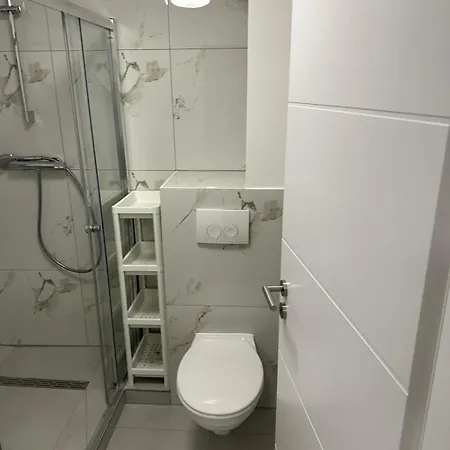 Stadthaus In Zentraler Lage Von Bingen 5 3 Baeder Dachterrasse * بينجين ام راين